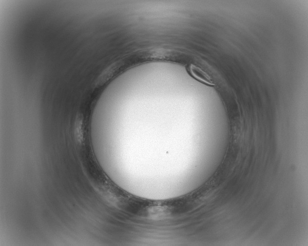 X0000073860216200608312035