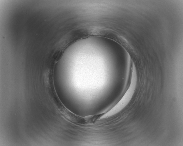 X0000073860217200608312035