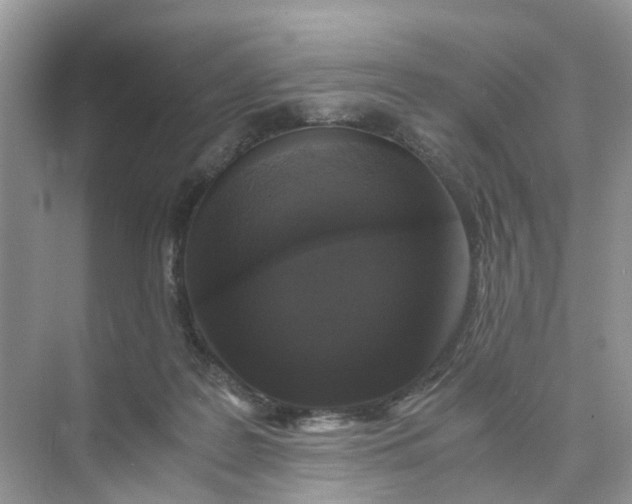 X0000073860219200608312035