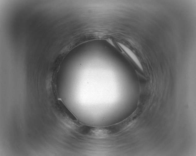 X0000073860221200608312035