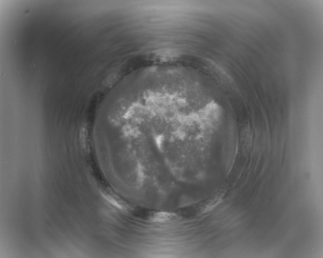 X0000073860222200608312035