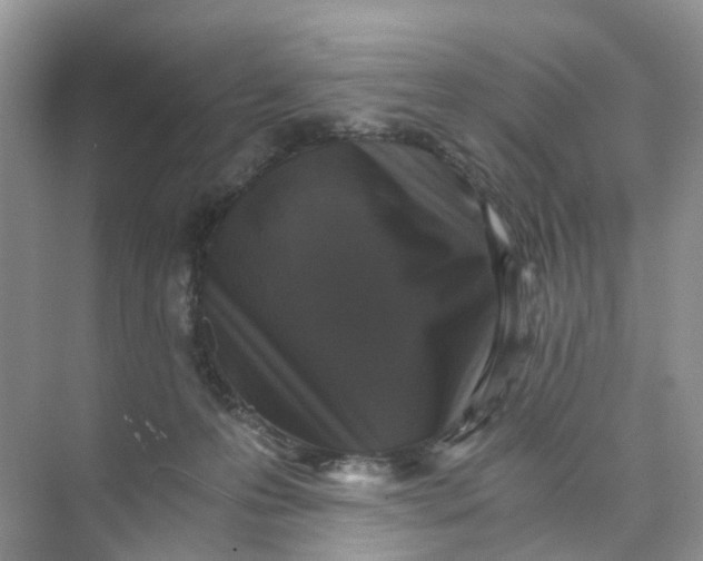 X0000073860223200608312035