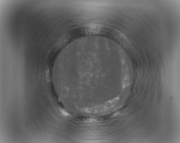 X0000073860224200608312035