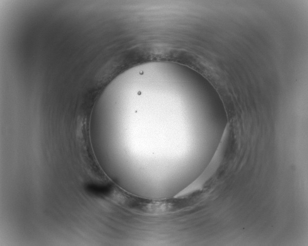 X0000073860225200608312035