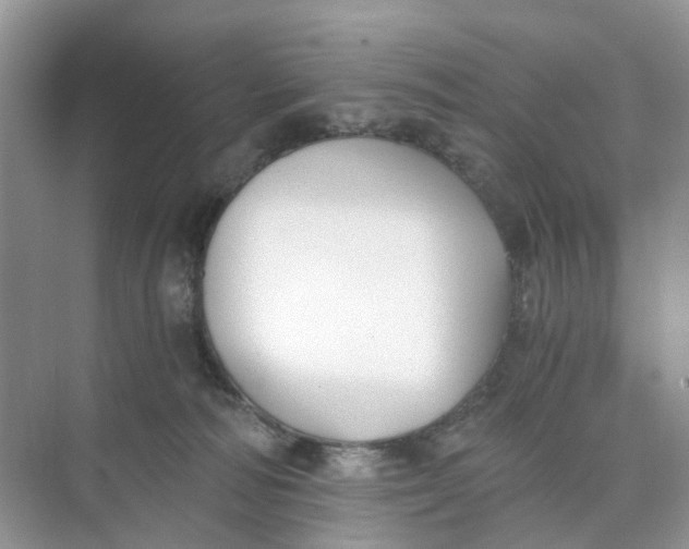 X0000073860226200608312035