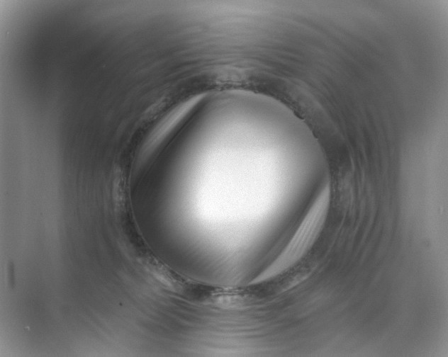 X0000073860228200608312035