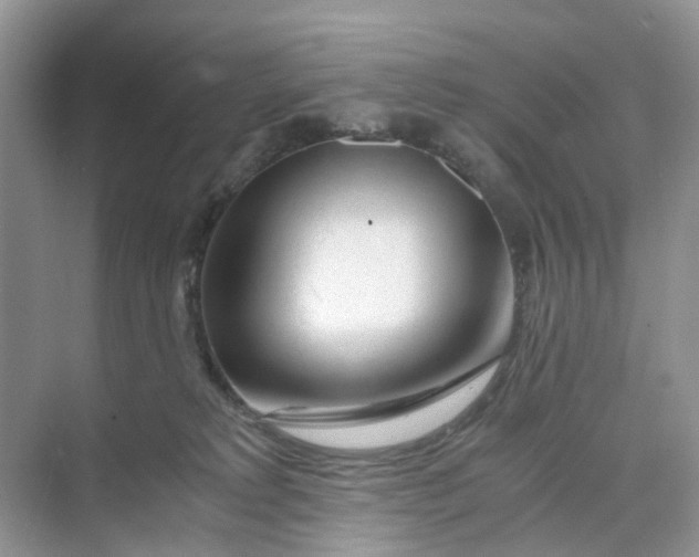 X0000073860229200608312035