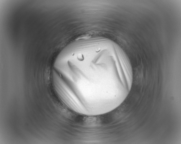 X0000073860230200608312035