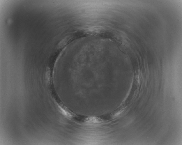 X0000073860231200608312035