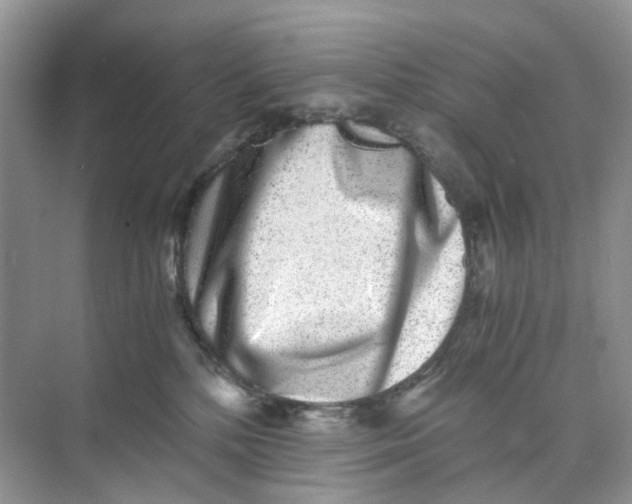 X0000073860232200608312035