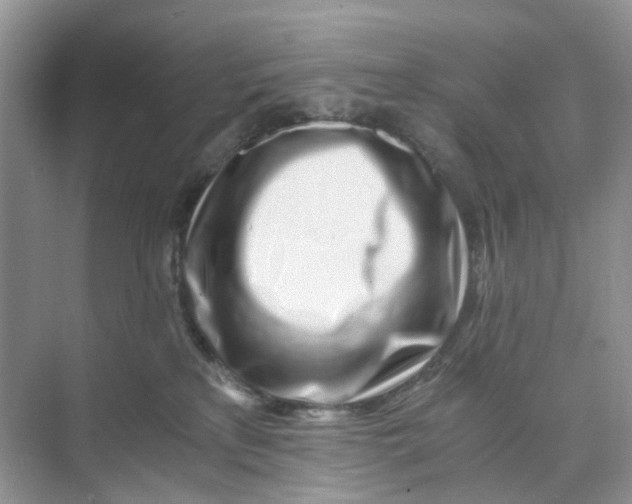 X0000073860233200608312035