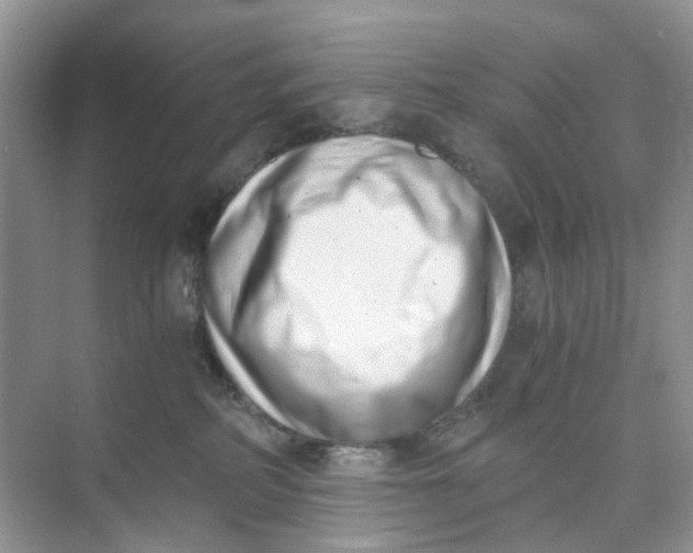 X0000073860234200608312035