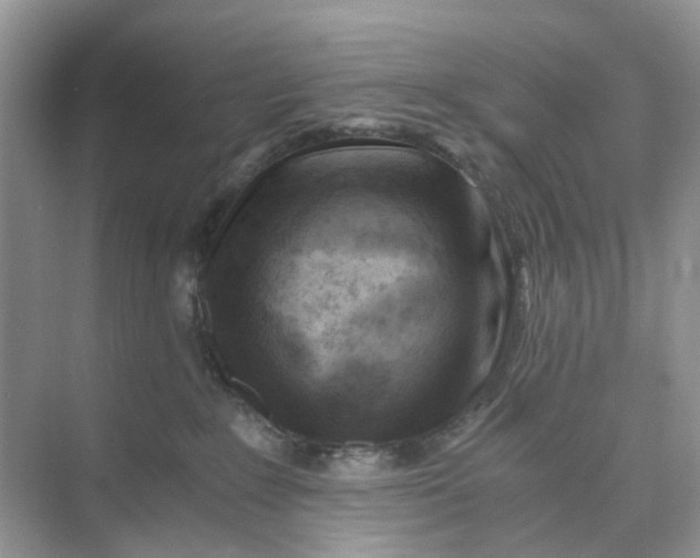 X0000073860235200608312035