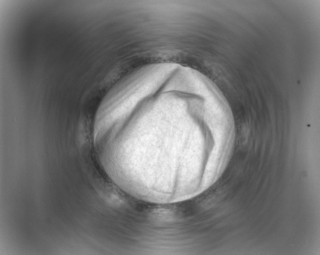 X0000073860236200608312035