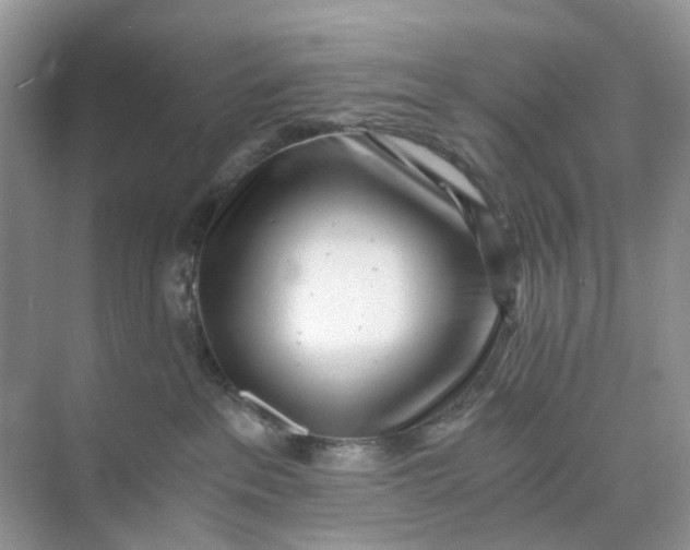 X0000073860237200608312035