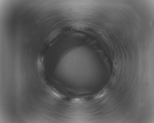 X0000073860239200608312035