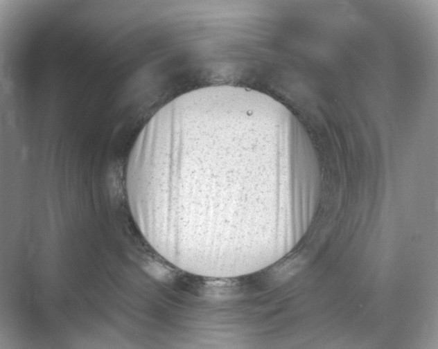 X0000073860240200608312035