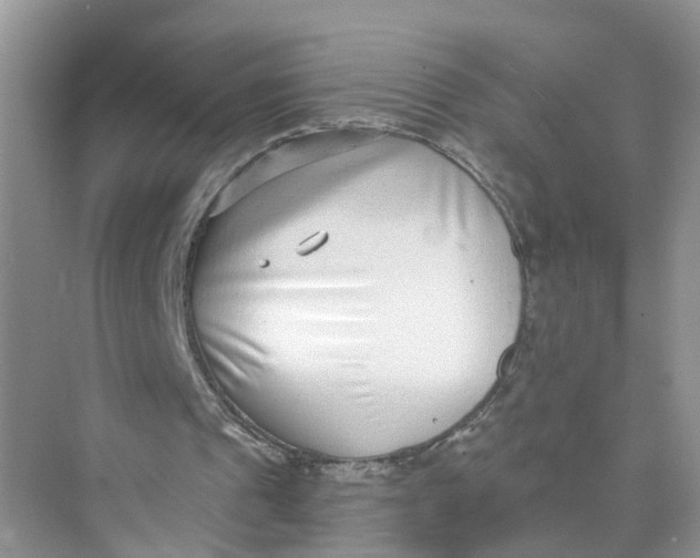 X0000073860241200608312034