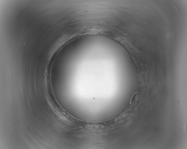 X0000073860242200608312034