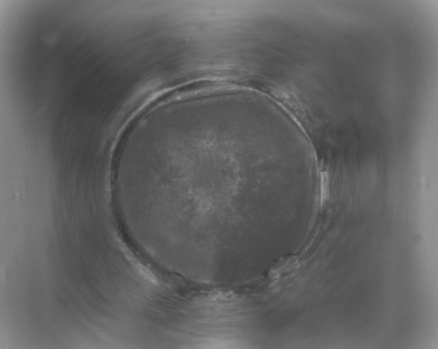 X0000073860243200608312034