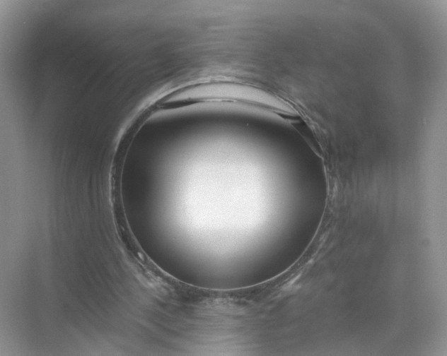 X0000073860244200608312034