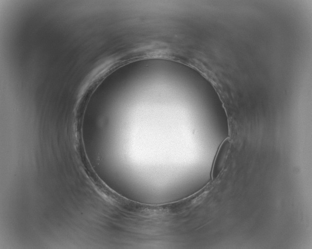 X0000073860245200608312034