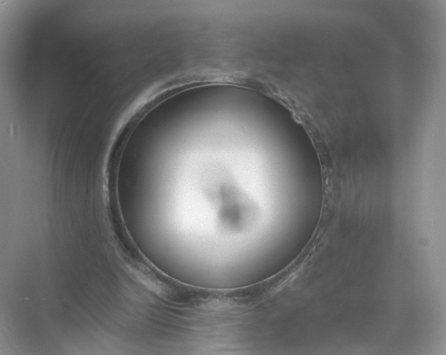 X0000073860246200608312034