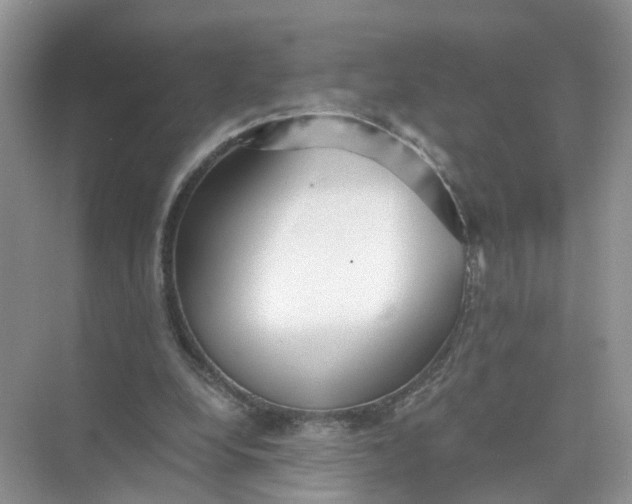 X0000073860248200608312034