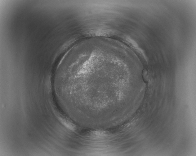 X0000073860250200608312034