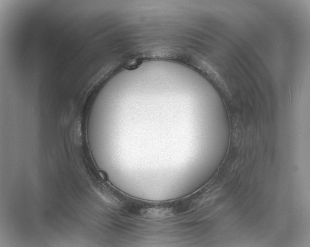 X0000073860251200608312034