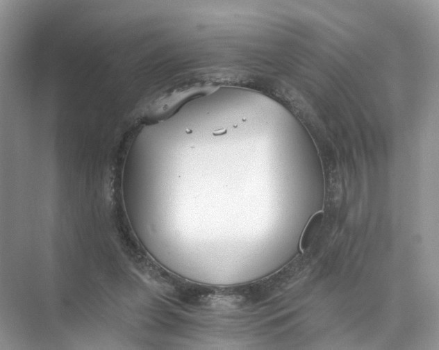 X0000073860255200608312034