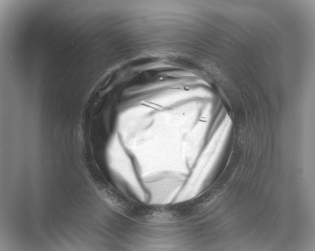 X0000073860256200608312034