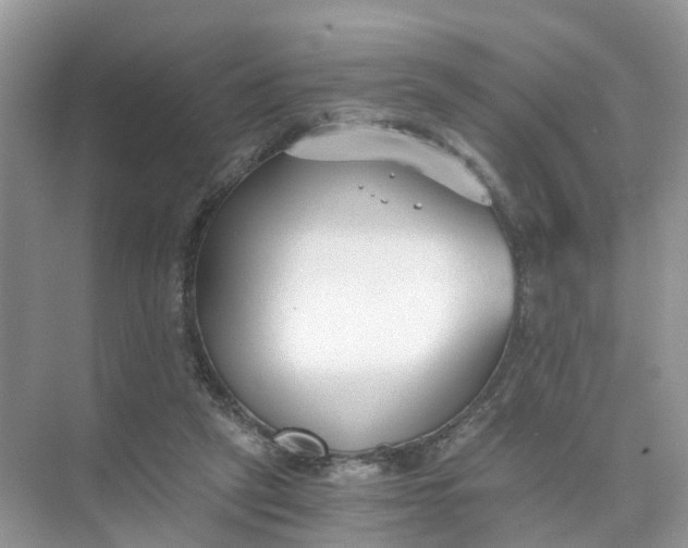 X0000073860257200608312034