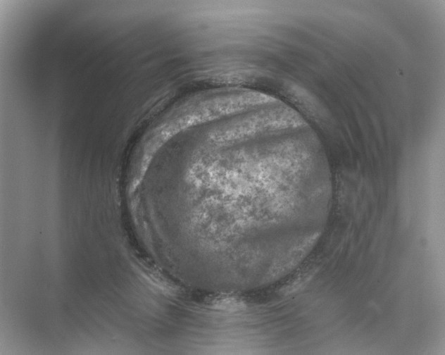 X0000073860258200608312034