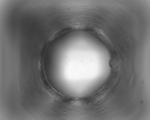 X0000073860259200608312034