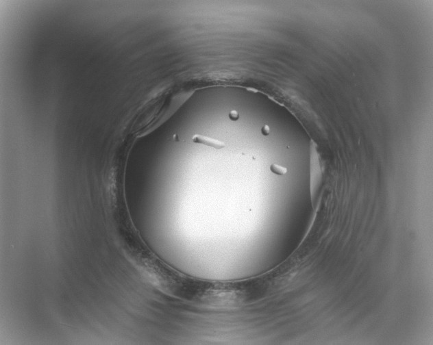 X0000073860260200608312034