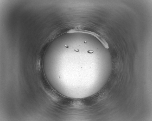 X0000073860262200608312034