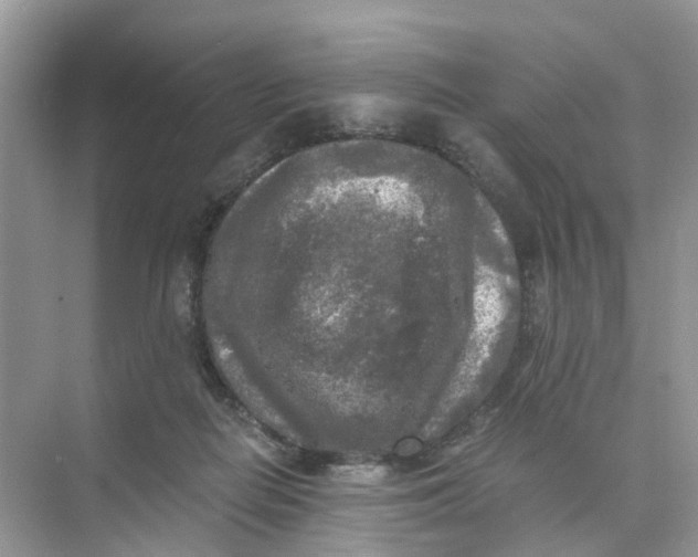 X0000073860266200608312034