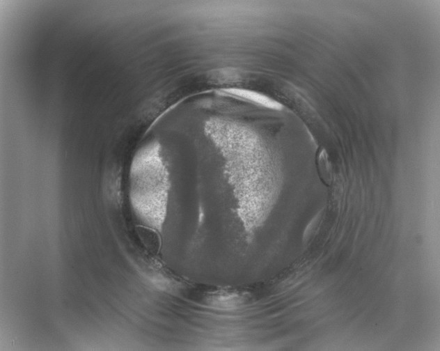 X0000073860267200608312034