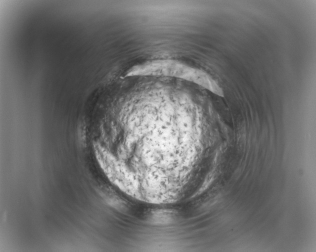 X0000073860268200608312034