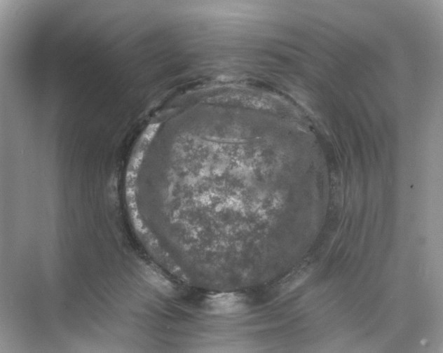 X0000073860269200608312034