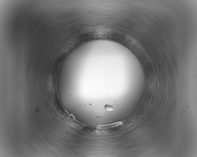 X0000073860270200608312034