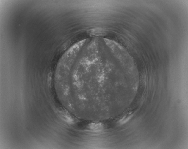 X0000073860271200608312034