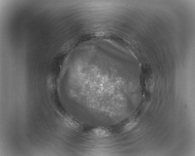 X0000073860272200608312034