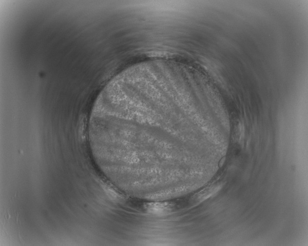 X0000073860273200608312034