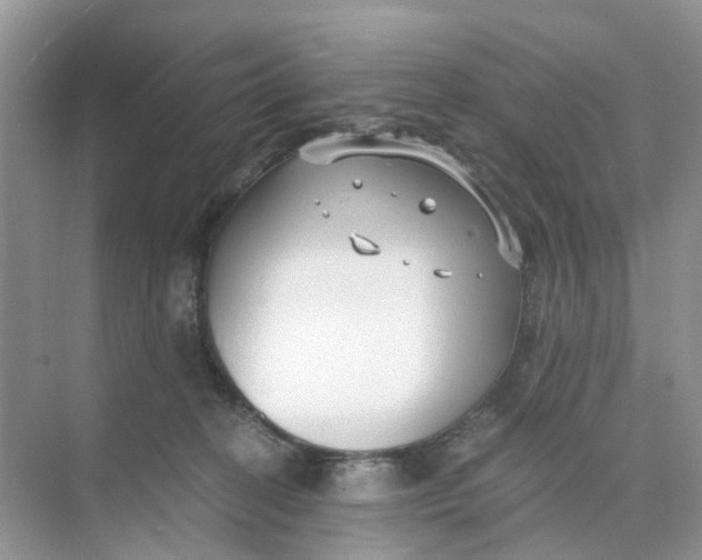 X0000073860274200608312034