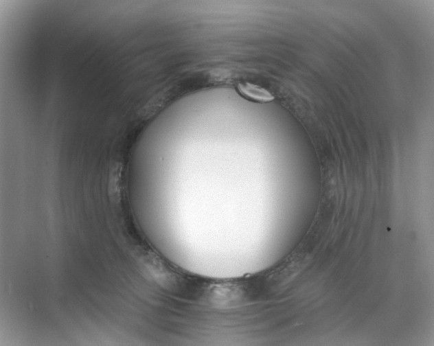 X0000073860275200608312034