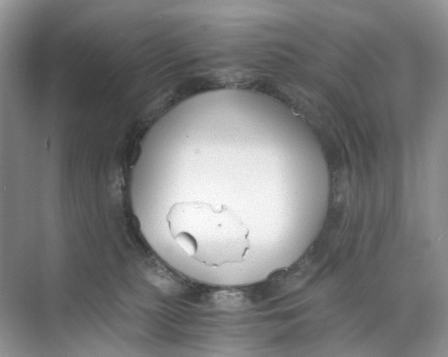 X0000073860279200608312034