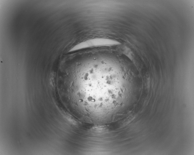 X0000073860280200608312034