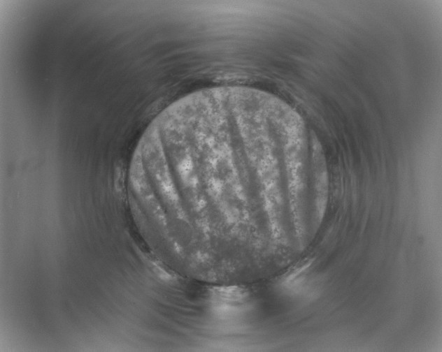 X0000073860281200608312034